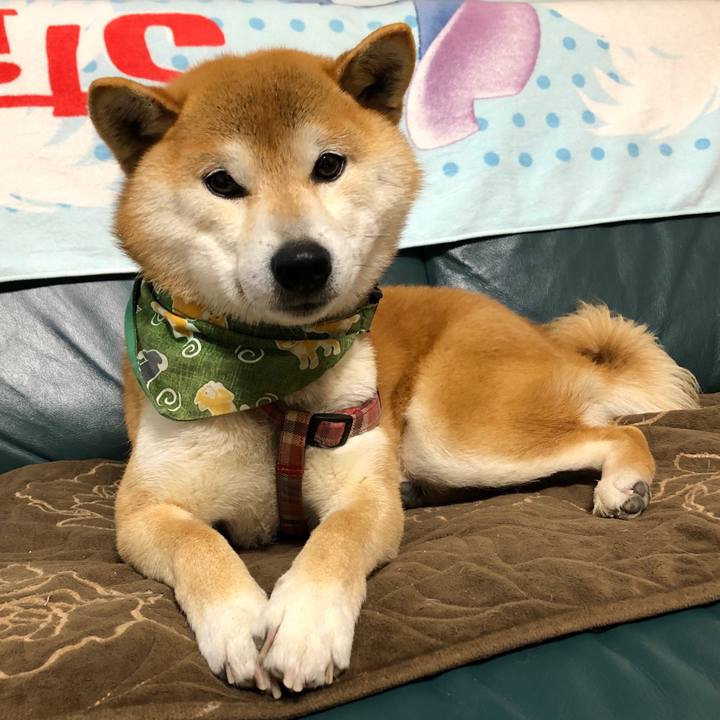 Ff776693 d3fb 4219 b517 6f905052dc69 1555845042424