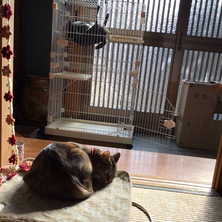 Ff77a1fa 2d96 4c4e 9f84 3983d2e68a93 1642047638964