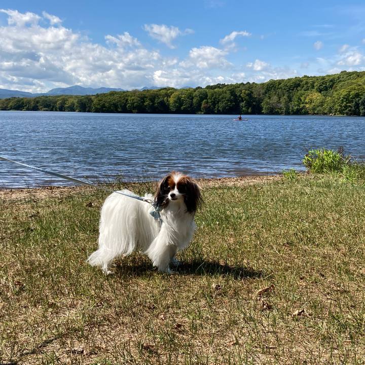 Ff77e4ee 4875 4f20 9ec7 dba56a5f3d31 1632024293846