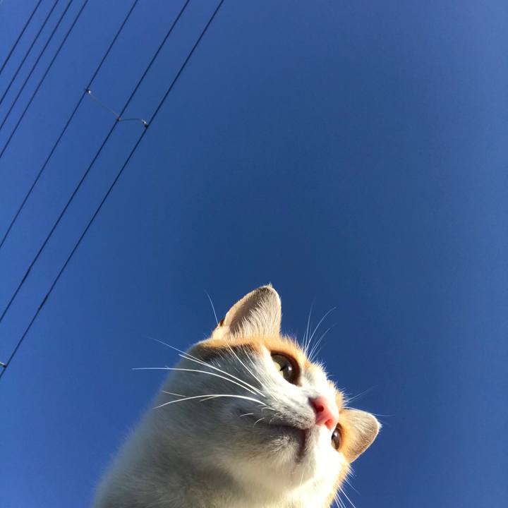 Ff781358 b985 4f1c b4d4 f0a625a7f2fb 1510705617407