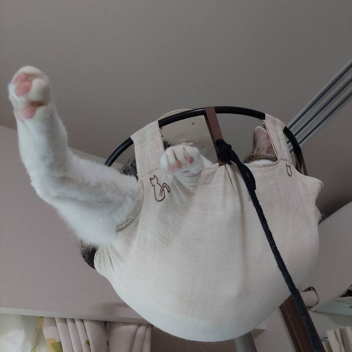 Ff78458c 2444 4e49 a5ea 77468f3c6238 1626907510094