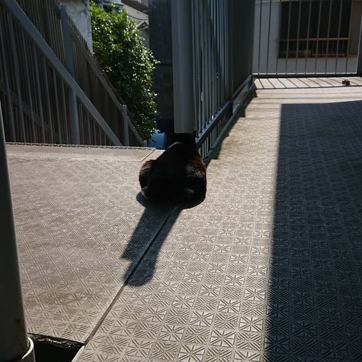 Ff78cc92 c16d 4c1c 9227 be29f40f18d6 1592023536907