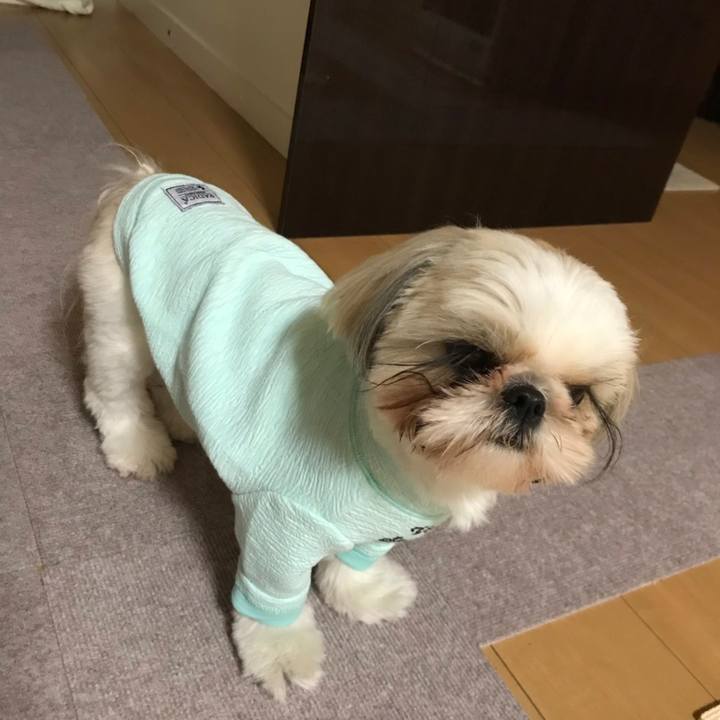 Ff797e36 43bc 4b3d a4d2 5651810944ac 1576289687550