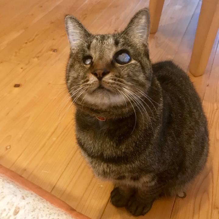 Ff798363 2a83 4a2a aa76 821c4e4b7d74 1542238070071