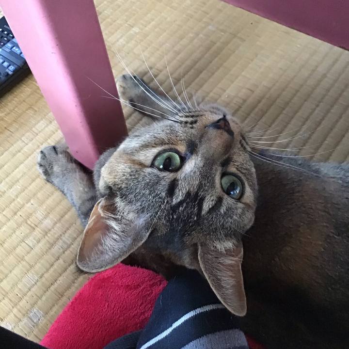 Ff798b86 9775 4874 a5d3 dae2d9d49543 1597188590140