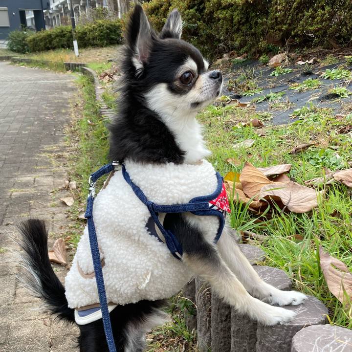 Ff79a900 78f1 42cc a65a f7686def8f49 1671288138746