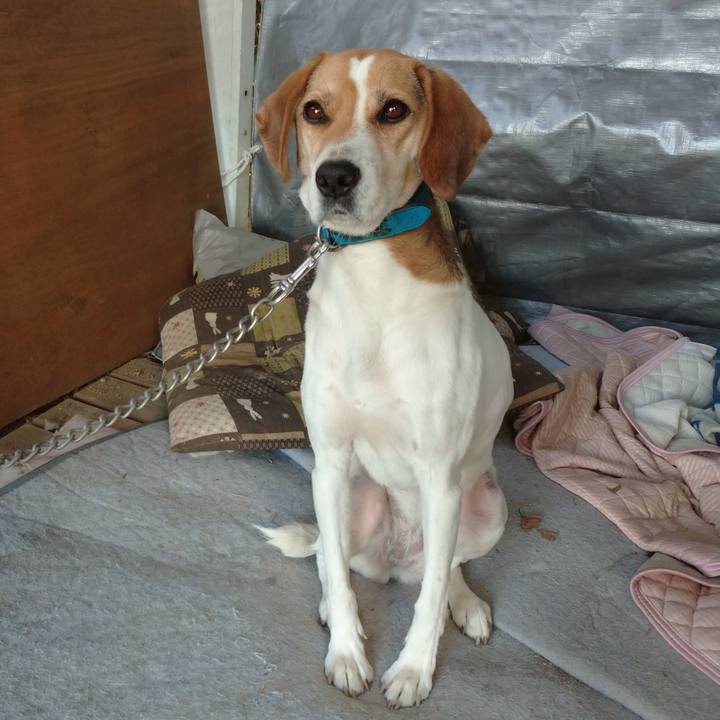 Ff79b140 0d11 4376 b10f 65cddbd84aea 1606960874819