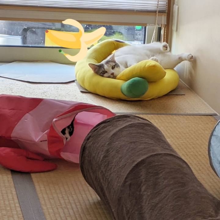 Ff79e15b 6a23 4dff 99c1 854d6d591f2f 1697291820039