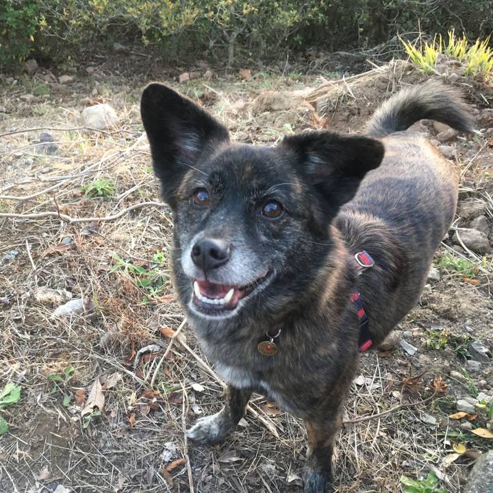 Ff7a056d a155 4ff4 a7b8 868b54cec4f7 1549118762869