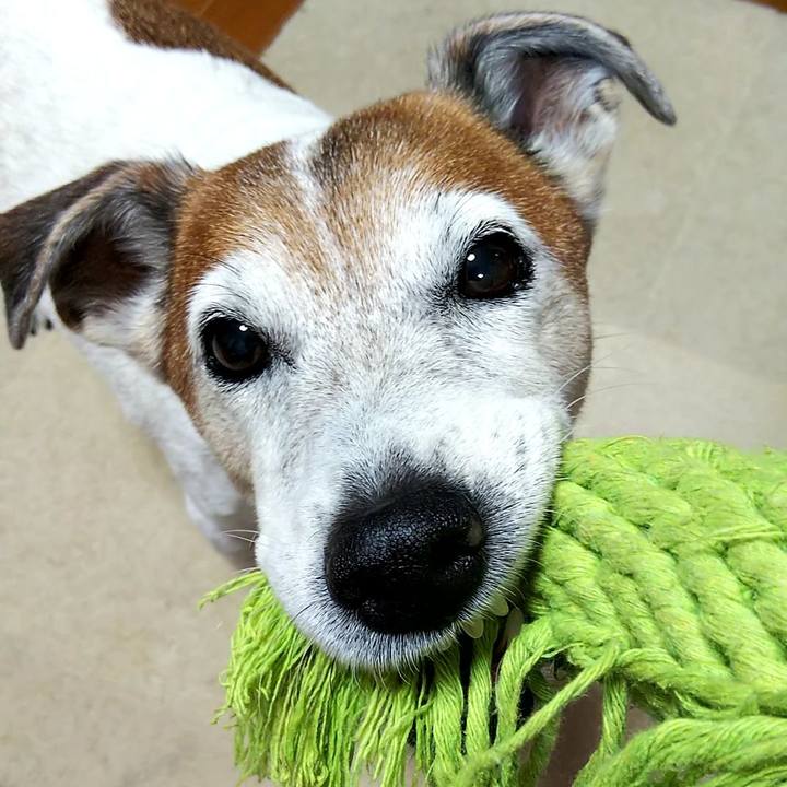 Ff7a0764 42b9 482e 9571 df7da9df5776 1548888968397