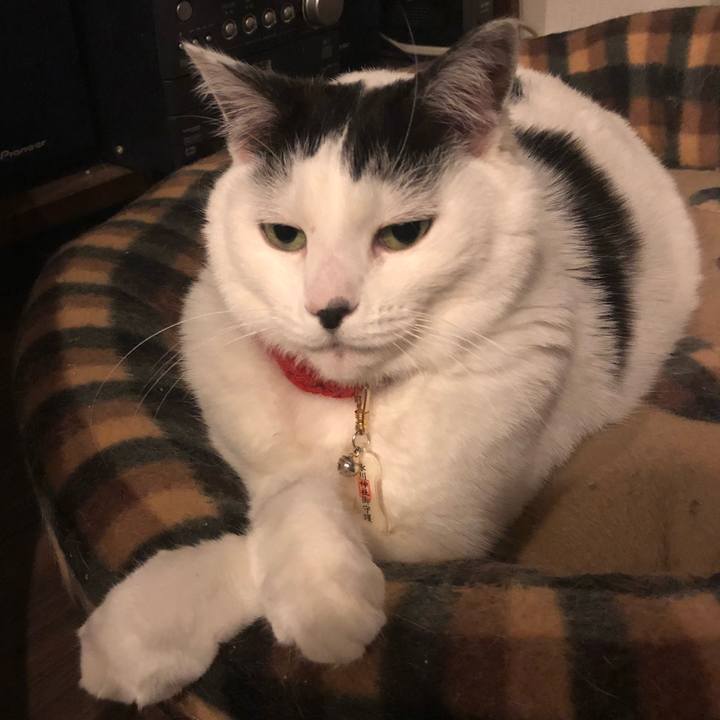 Ff7a0f12 2b04 47df a0e1 558a895b135d 1520949967877