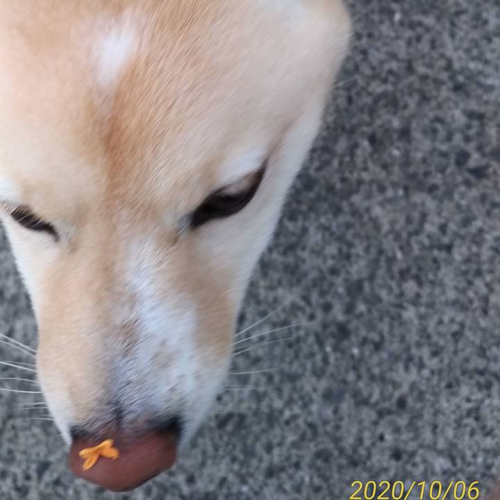 Ff7a1144 bc0c 4f49 a26e 2613bca957de 1601936110682