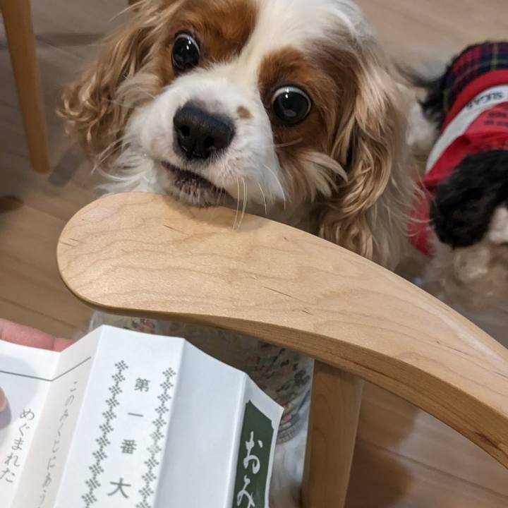 Ff7a3940 176a 42fe 8133 787aeec07c92 1673762427284