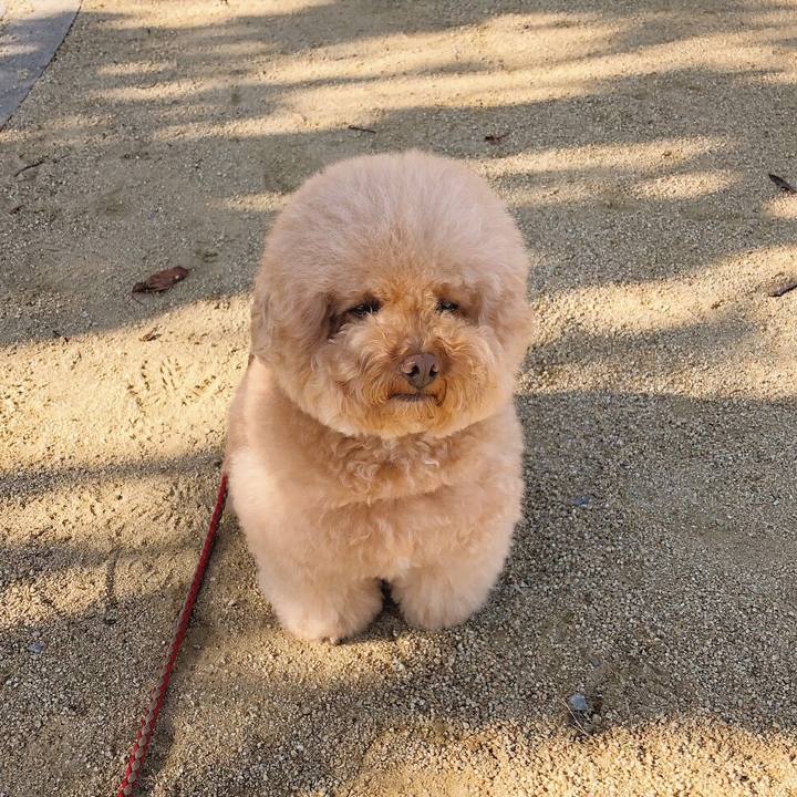 Ff7a44d1 55b7 4683 9716 09e997bf1b2d 1509497546821