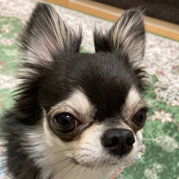 Ff7a6dd8 3be3 4b87 8cb4 d3acb243cd45 1651670102852