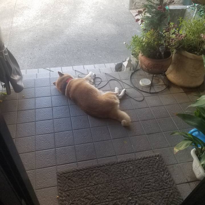 Ff7aaf1d 890e 4b18 98d6 7ef5e699d59f 1723420188126