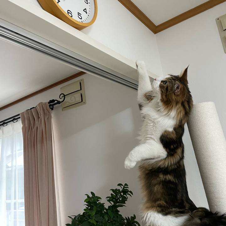 Ff7ab337 a44c 4daf 8e7c 7847ffb83a25 1649973536660