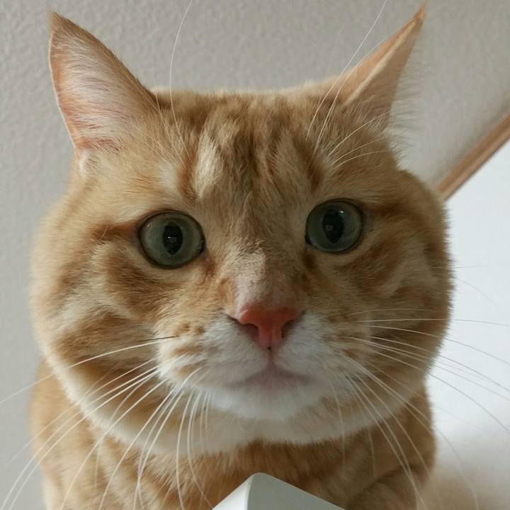 Ff7ac39a 3535 4ef8 bf93 ec6faf52fa46 1515485811045