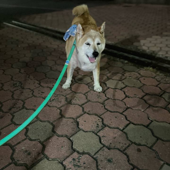 Ff7ad773 5332 433e 840d 47e1ff11704d 1754655213589