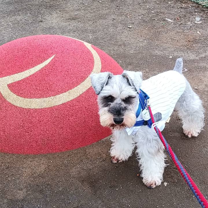 Ff7b7051 b3eb 4a01 ad22 fac86e852000 1598141241616