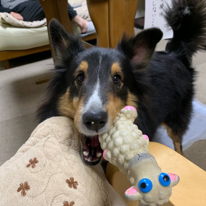 Ff7b91cf 7507 4ca2 acdd 09d7044e3e59 1577051542140