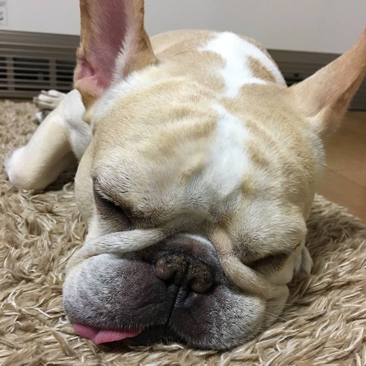 Ff7b9494 5d36 4c71 a042 f175234a7666 1514981423810