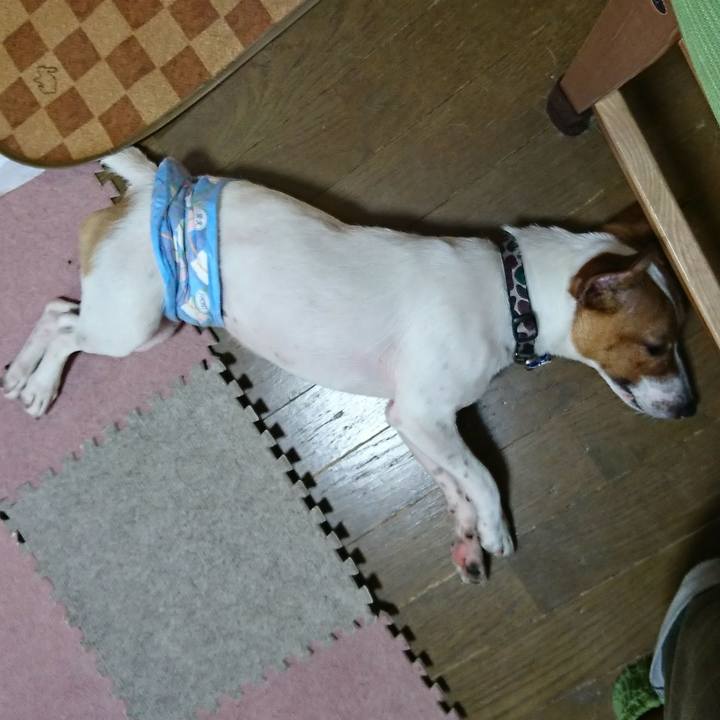 Ff7c5c9c b5be 438d b2f3 5f4f09079fcf 1529715775047