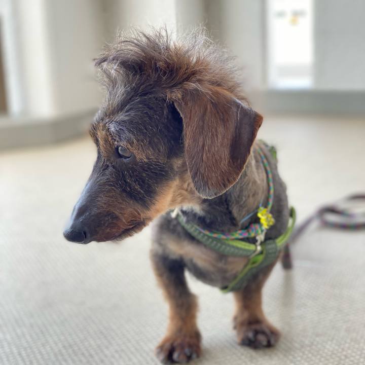 Ff7cbdf3 fb7f 4430 b26a 25ee74318f2c 1649944002213