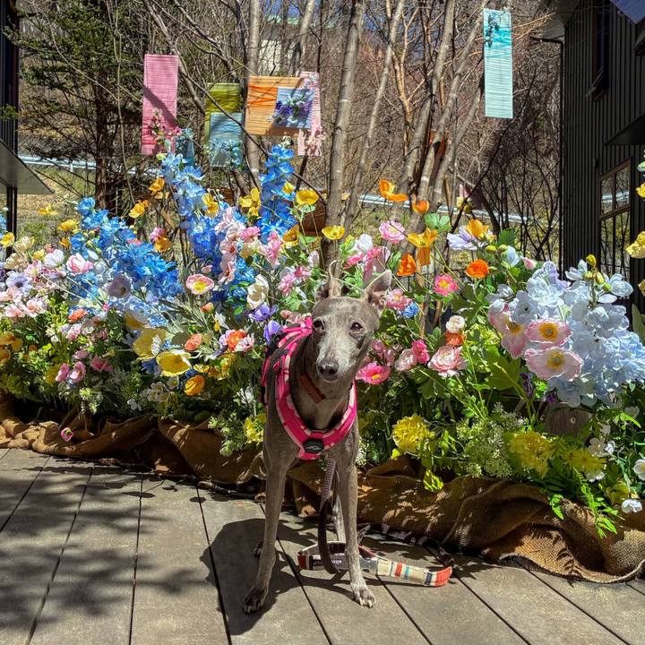 Ff7cd007 9a23 4dc7 90ce a6dcef88fad1 1776854231618