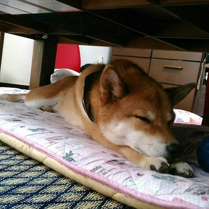 Ff7d1591 acc4 42e2 b427 5610337bb6b6 1532573151958