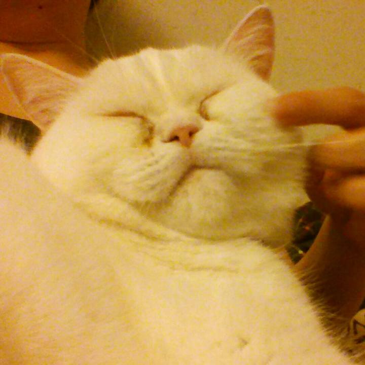 Ff7d215f 2a1e 4454 bece 53bf8eec6eef 1514235883740