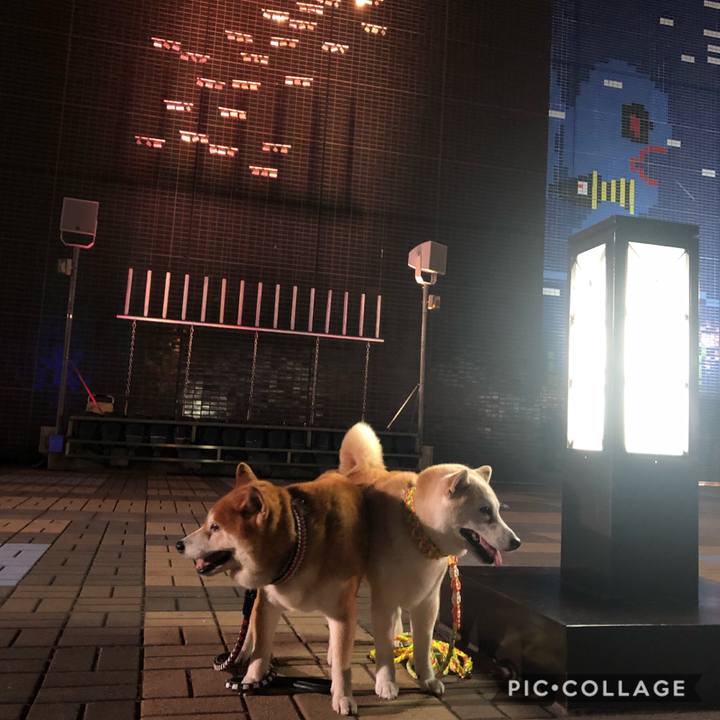 Ff7d3ad6 b3b0 4308 85f6 6c43894fe87a 1565735818327