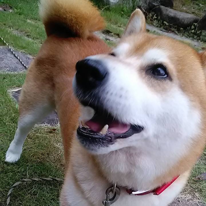 Ff7d4910 2d45 4612 bca6 008520fbf856 1665290246709