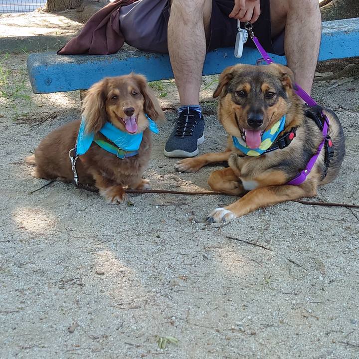 Ff7d548d 8c2c 46c4 9db9 cfd956665809 1690182781034