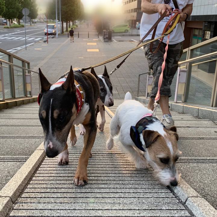 Ff7d5512 b9c4 423a aed4 07c720106338 1598183306902