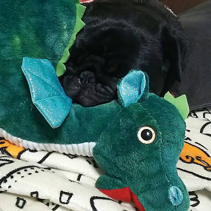 Ff7d68a4 ad6a 4f12 8ed0 b51990612b78 1541603042684