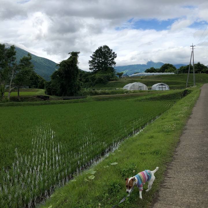 Ff7d92dc 1d29 4af9 98ad 375a5e434b74 1529475988427