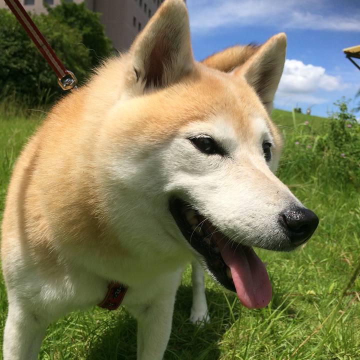 Ff7db11b 72b4 4617 84f1 3abe1ad7b40b 1582555403146