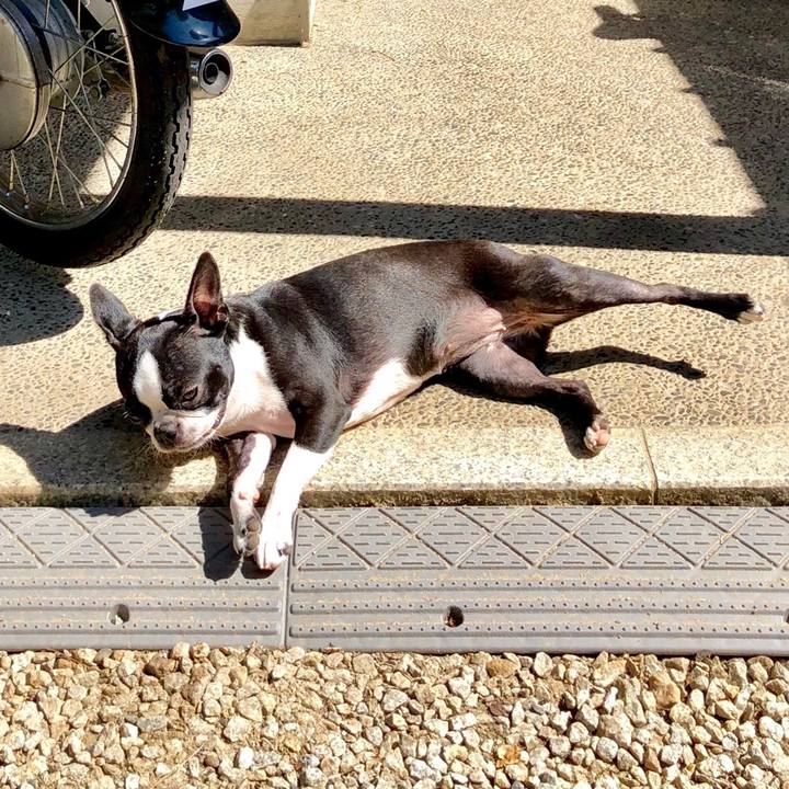 Ff7e01c9 86f6 47bf b037 deaeaddce4a1 1532220489705