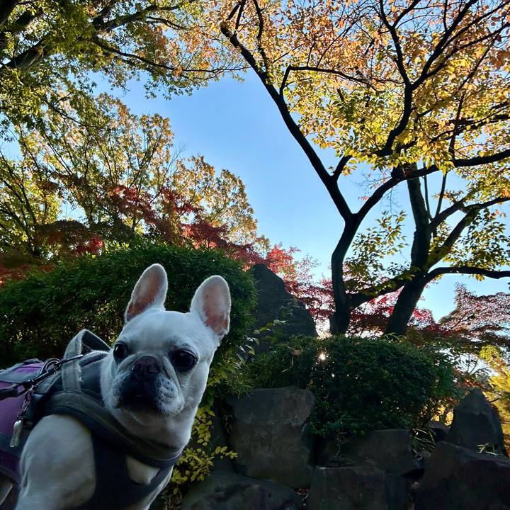 Ff7e260a bd64 4e7e 82d2 707946f8404b 1701079487266