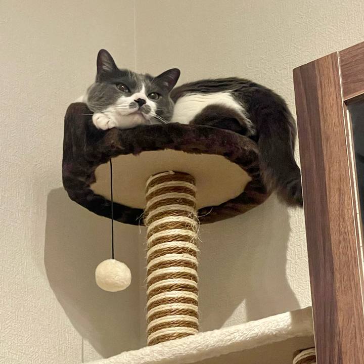 Ff7e6298 deb6 458e a370 535ba0dc6251 1685289472147