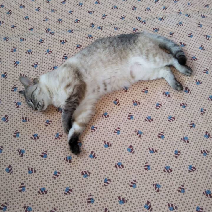 Ff7e630d 06d1 4913 ae96 af8157f3979b 1529639749491