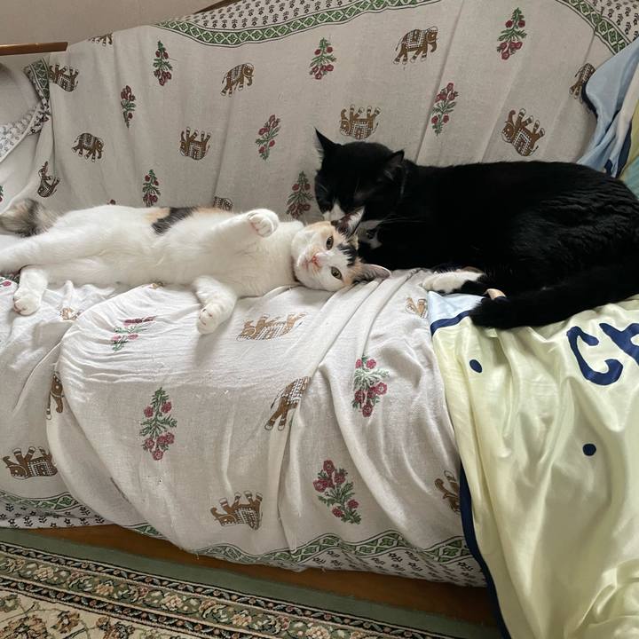 Ff7e7b13 3fcd 4d7a ae80 2193acdcb818 1722932445337