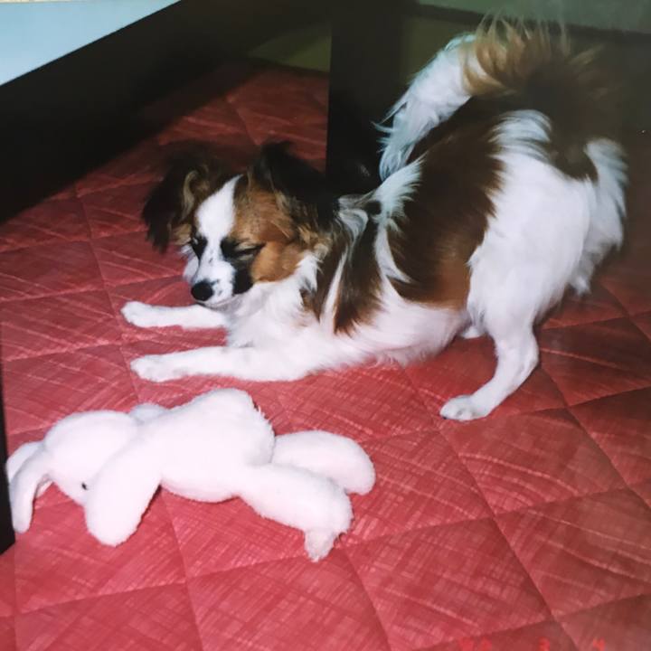 Ff7e9762 aa3e 434d bbda 2c20093e1309 1547716056855