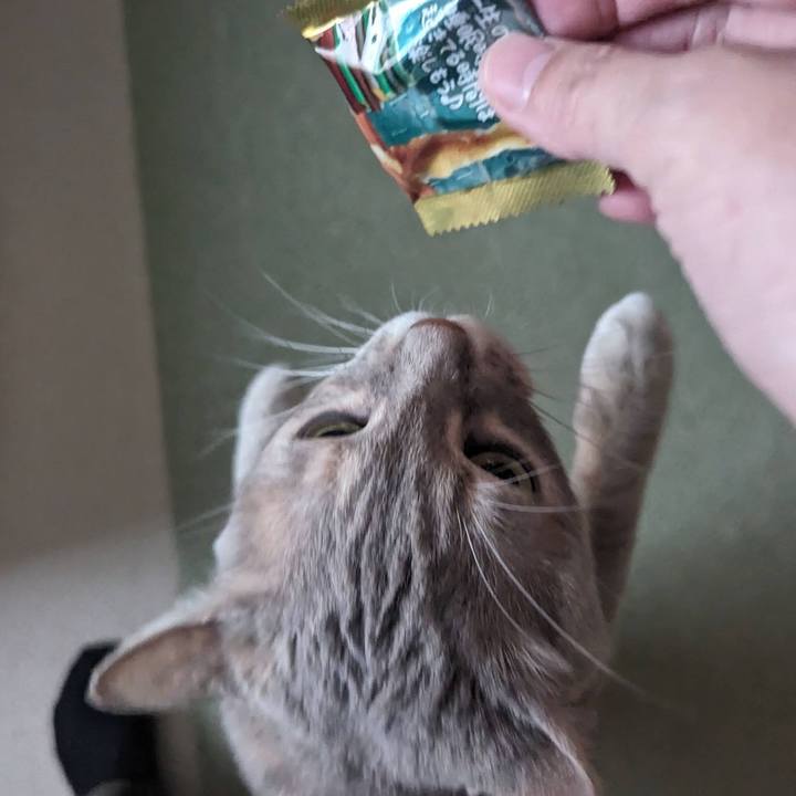 Ff7ea3a2 87fc 4816 ad02 07780581054f 1709609740359