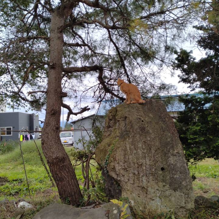 Ff7ed9f3 90fc 4cda a2e4 88ca07379cc2 1665206414198