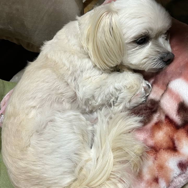 Ff7efe61 4bea 4841 8c1a 4653d8c21a4c 1671619762974