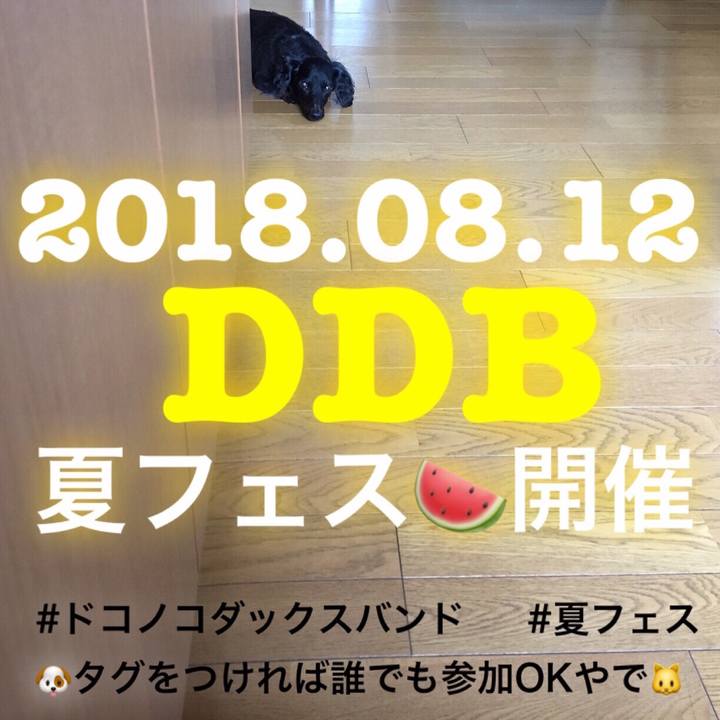 Ff7f3e0a e334 4ac7 a2f5 82f6d43b09d2 1532821611237