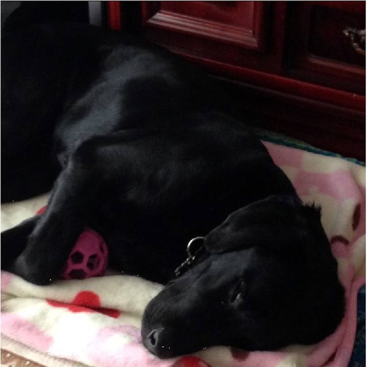 Ff7f5caa 31d4 4938 a451 75f5209db962 1557032519249