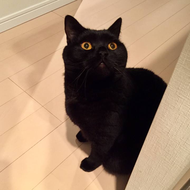 Ff7f68e6 0c35 4f81 ab44 2704b4a56242 1580817838289